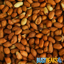 BusyBeaks Whole Peanuts -