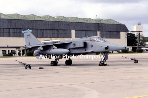 Raf squadron sepecat jaguar - 6,