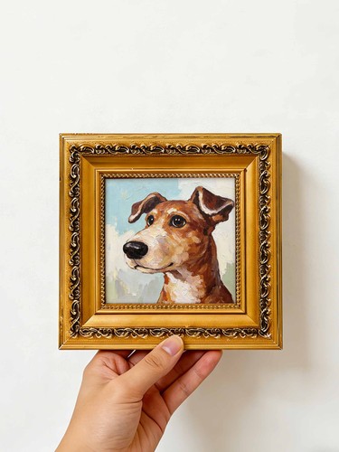 Brown white dog - brown, portrait