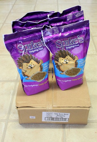Spikes hedgehog food tasty - hedgehog,