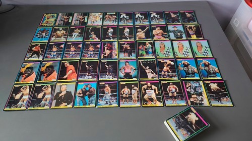 Wwf merlin summerslam - 91,