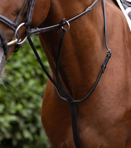 Premier equine european - premier,