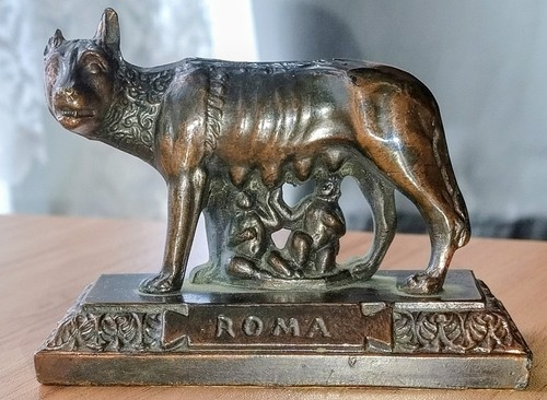 Old roma she - old, wolf
