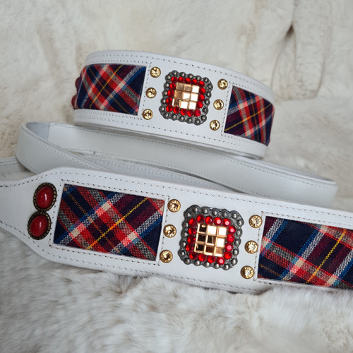 Designer dog collar and lead - dog,