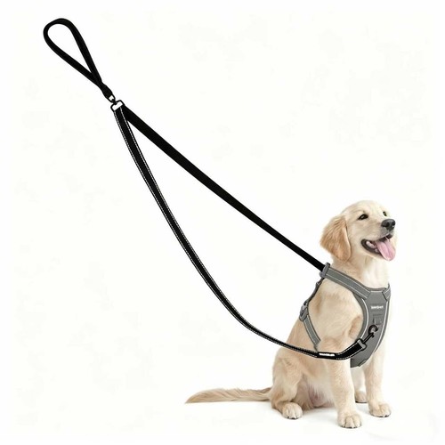 Double ended pull dog lead - no-pull,