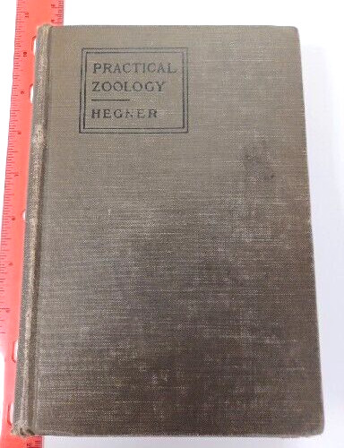 Antique book practical zoology - book,
