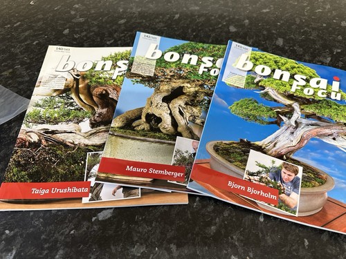 Bundle bonsai focus - bundle, of