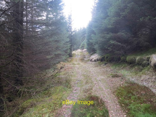 Photo 6x4 mountain - bike, trail