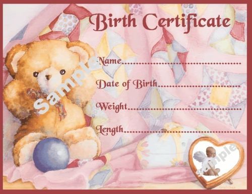 Pink teddy birth - pink,