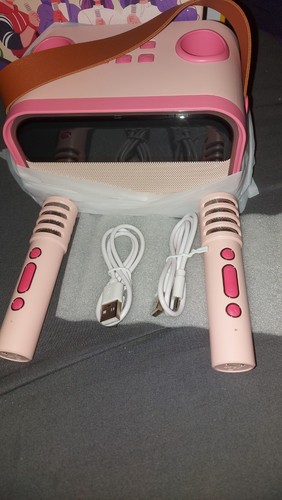 Portable pink karaoke player - pink,