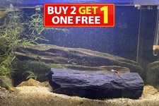 Pleco Breeding Cave Hide 3D
