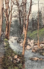 uk15821 melbourne woods derby