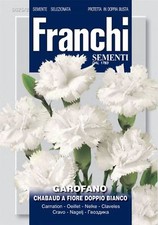 Franchi - FDBF_ 325-2 - Carnation Chabaud White - Seeds