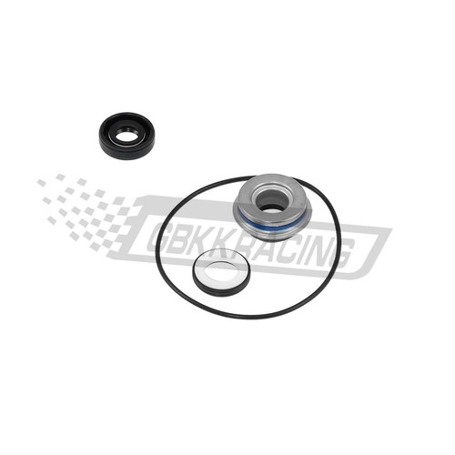 Water pump oil seal kit - oil, for