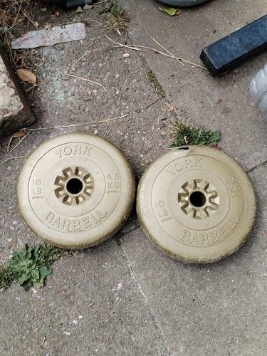 5kg gold york weight - 4.5kg,