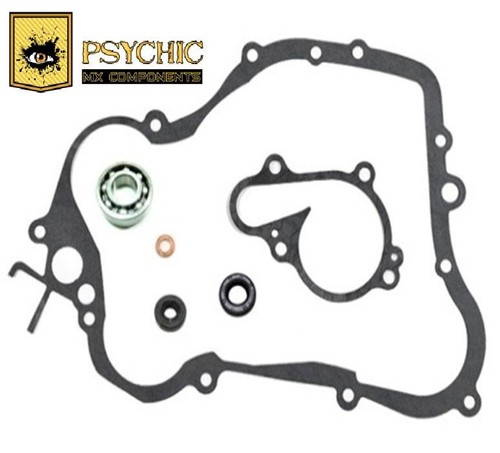 Psychic water pump gasket kit - psychic,