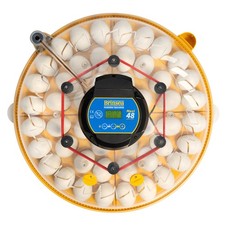 Brinsea Maxi 48 Advance