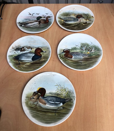 Poole pottery transfer - poole,
