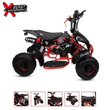 50cc High Speed Kids Mini ATV