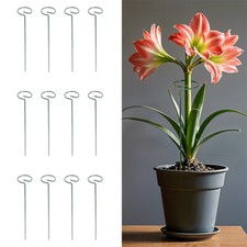 12pcs Metal Single Stem Plant Support Stakes Pole Spiral Plant Support Stakes UK