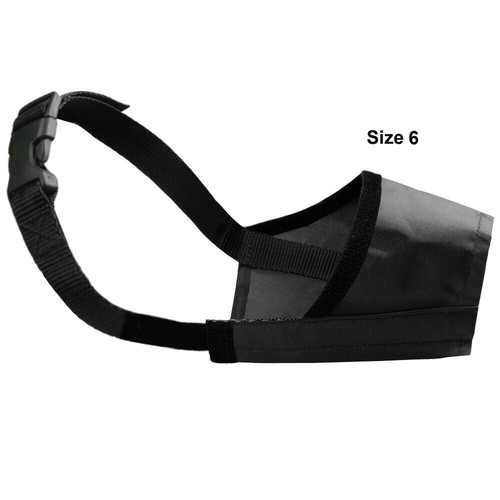 Doberman pinscher dog muzzle - pinscher,