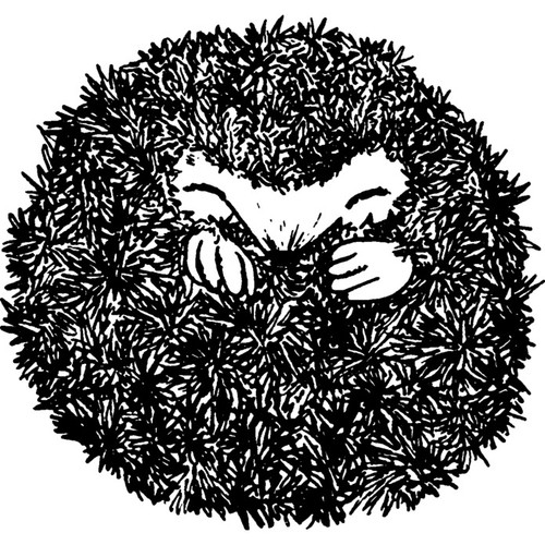 Curled hedgehog unmounted - hedgehog',