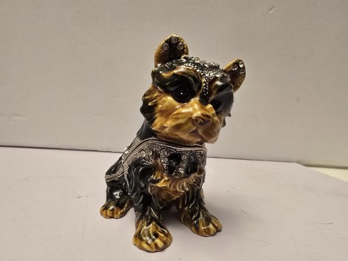 Yorkie yorkshire terrier puppy - yorkshire,