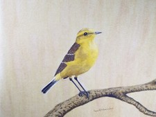 Original watercolour, 'Yellow