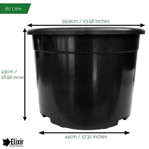 Black plastic pots 12 - pots,