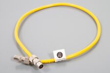 Kimber Kable Illuminations