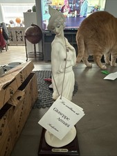 GIUSEPPE ARMANI Pretty “LADY