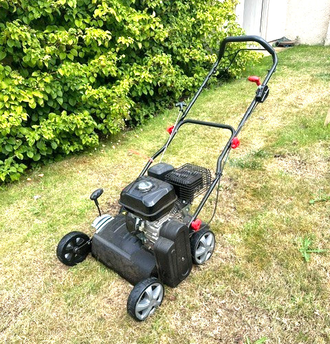 Professional petrol lawn - petrol,