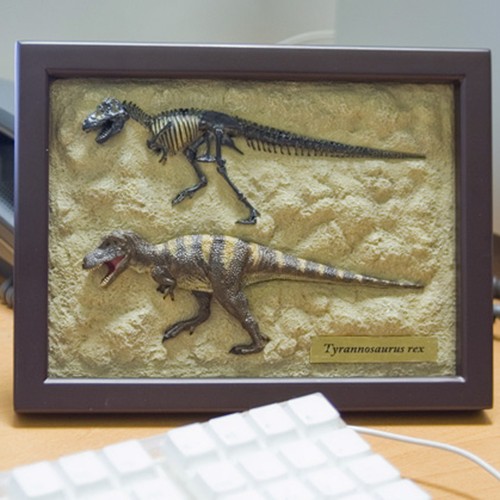 Tyrannosaurus rex skeleton - tyrannosaurus,