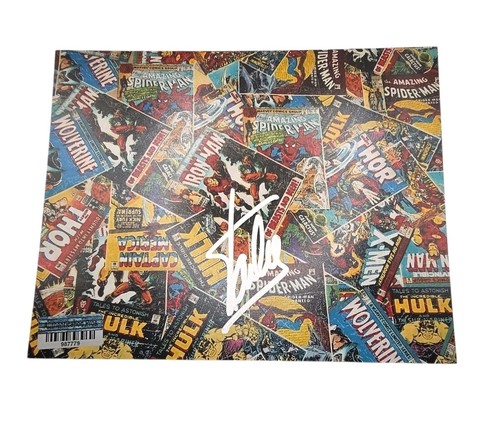 Stan lee vintage signed comic - lee,
