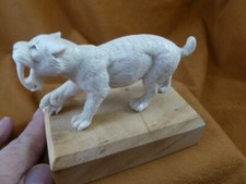 (saber-w5) wild sabertooth