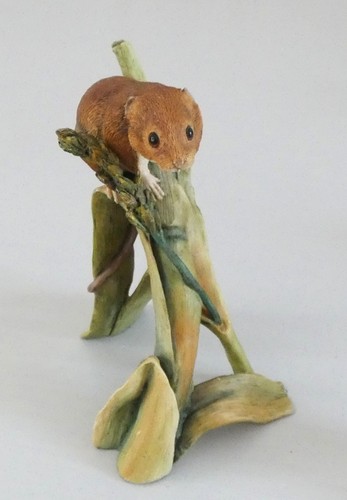 Harvest mouse early - harvest, harvest"