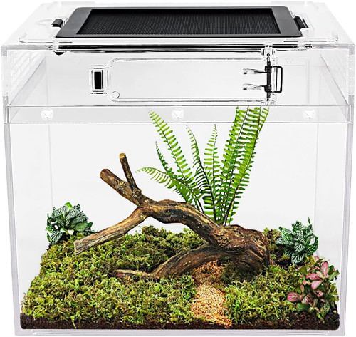 Reptile growth mini - reptile,
