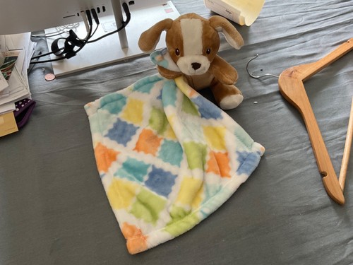 Little miracles costco puppy - little,