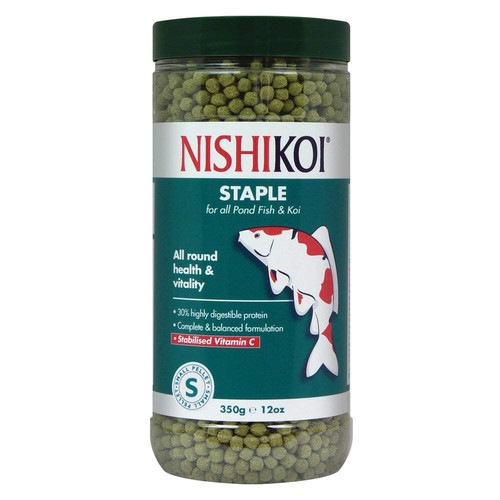 Nishikoi staple pond fish - nishikoi,
