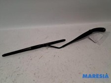 Renault Arkana I LCM, LDN