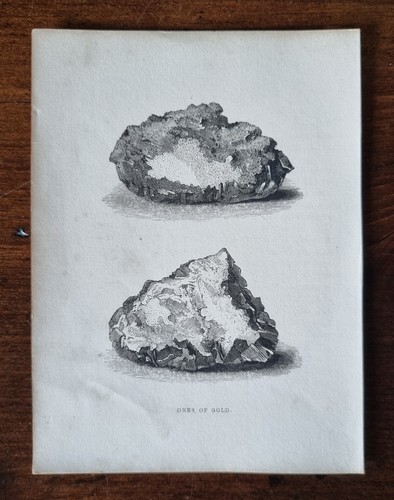 Antique mineralogy engraving - antique,