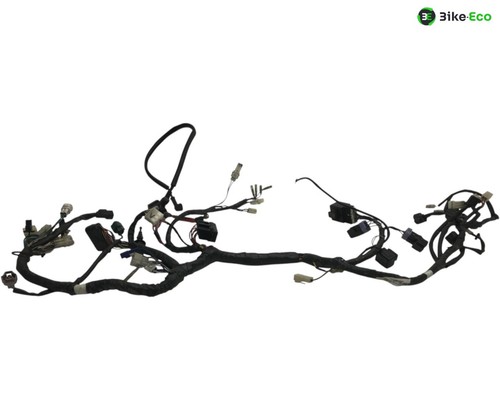 Electric harness yamaha 660 - harness,