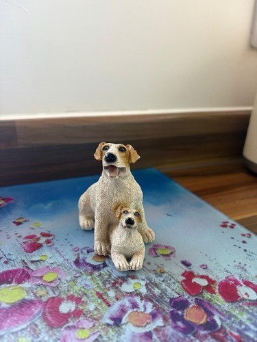 Jack russel terrier with - russel,