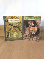 Woodlands & Animals In Action