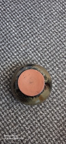 Rustic tree landscape creamer - tree,