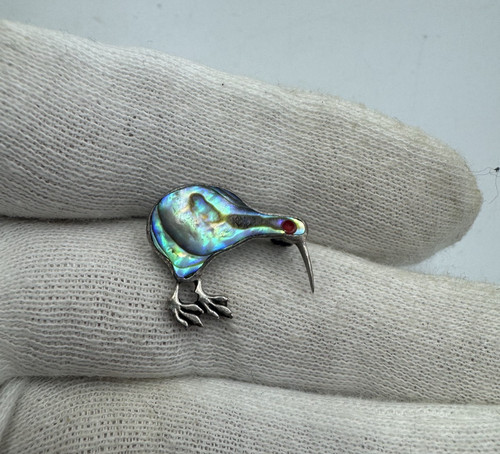 Small abalone paua mother - abalone, of
