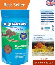 Aquarium algae eater - fish, food
