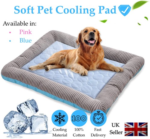 New pet cooling bed - pet,