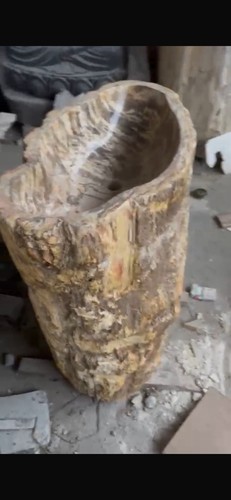 Petrified fossil wood bathroom - petrified,