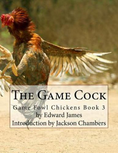The game cock fowl - game, cock:
